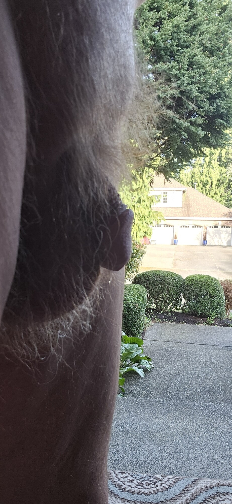 Friday Balls #6