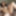 DAGFS - Tattooed Girlfriend Daisy Cruz Strips And Fucks BF
