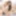 GROOBY-ARCHIVES: Focus &amp; Wikky!