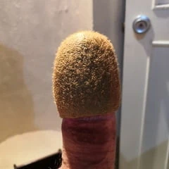 Kiwi photo album