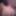 Amanda Chickens44644  Free Photos