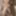 10 inches African BBC cumshot #22