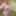 Amateur Crossdresser Kellycd2022 sexy milf in stockings  #29