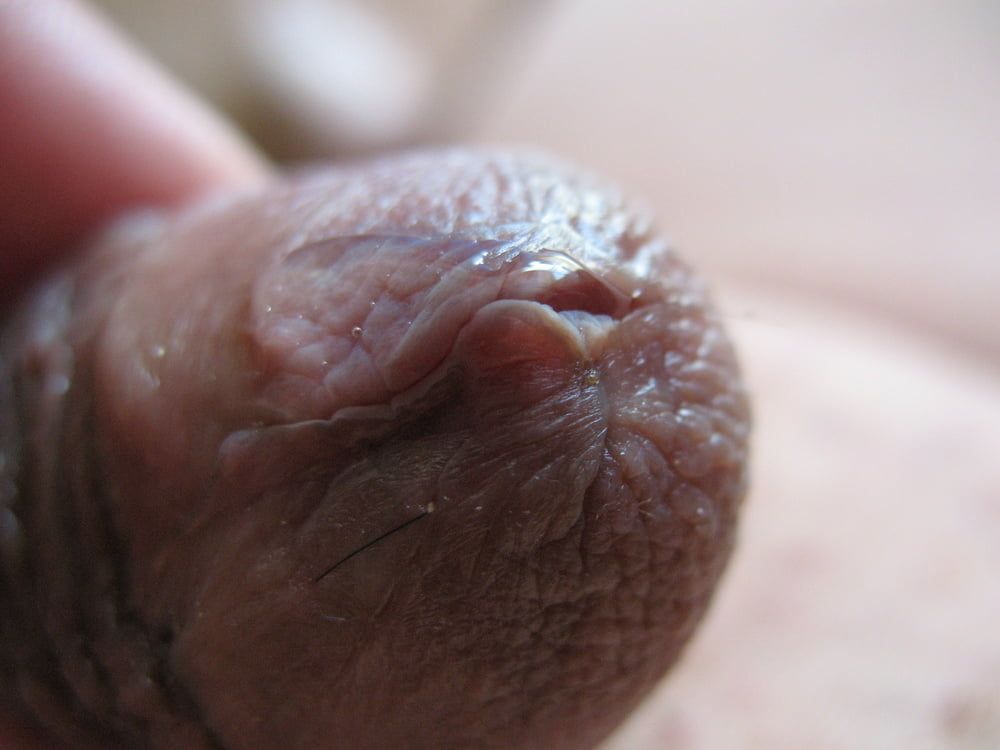 Cute little cock with precum #5