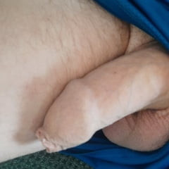 Cock 