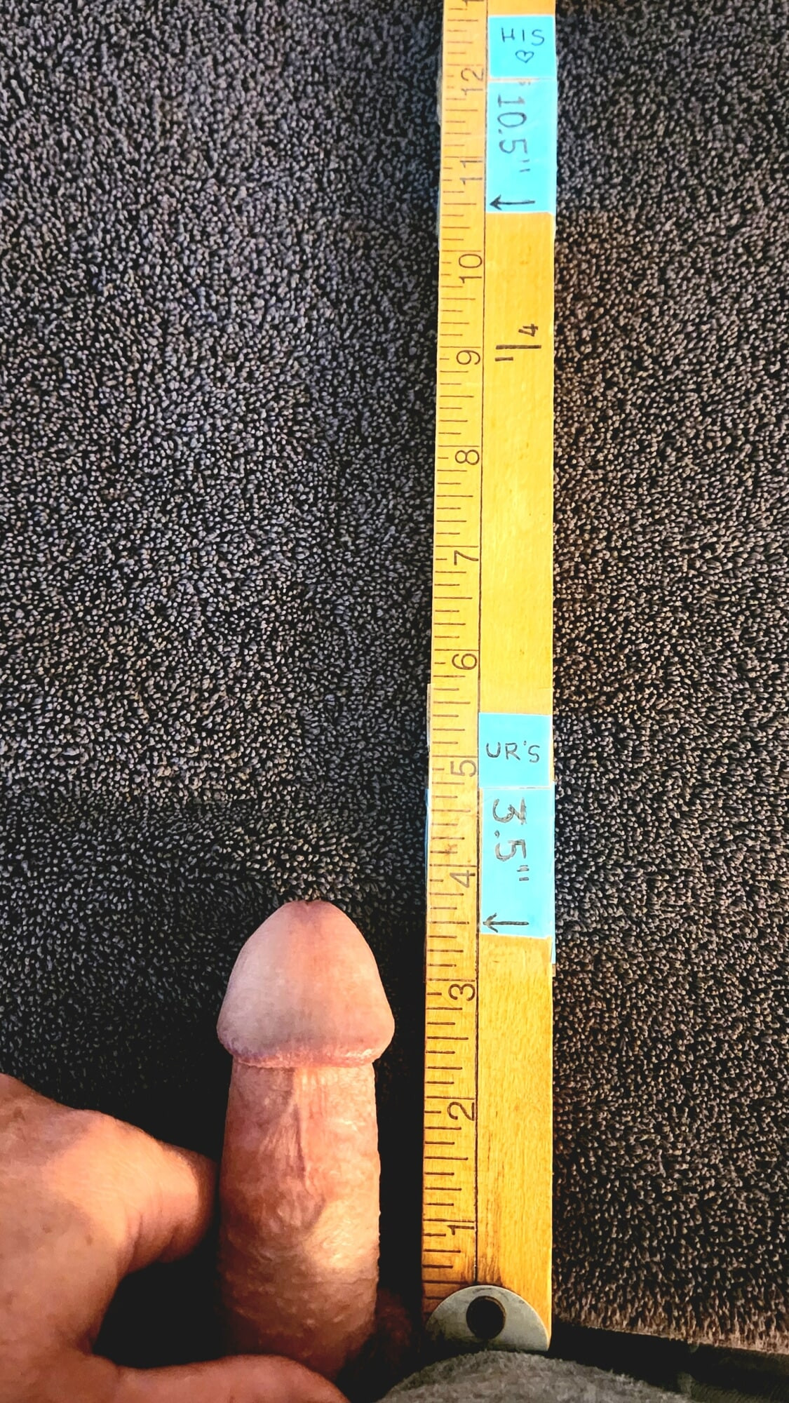 Gf zakar tiada perbandingan 