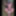 Nude walk on the forest path from the Waldkunstfahrt Darmsta #47