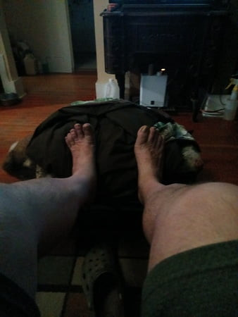 feet