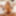 TRANSEXPOV: Wake Up &amp; Smell The Emma Rose