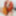 Inari 🦊 Free Photos