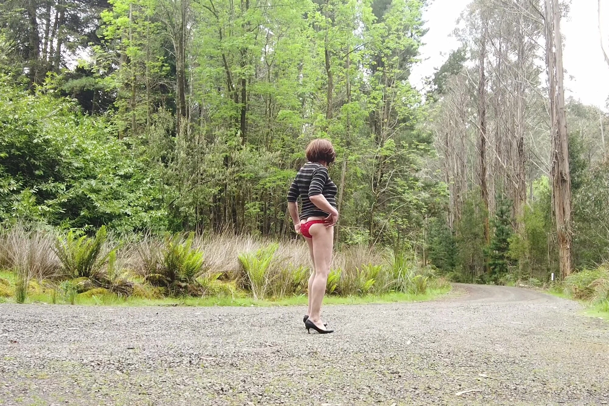 Crossdress Roadtrip - Sunny Forest Road