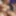 Bisex Cuckold Swingers at Cuckoldest