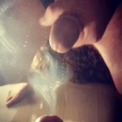 Wank bank