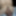 ディックの写真