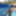 Showing off our pedicures in the pool #22