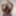 Naked Monika Fox In Mask With Flowers