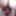 FAN Geschenke: Strapsstruempfe #11
