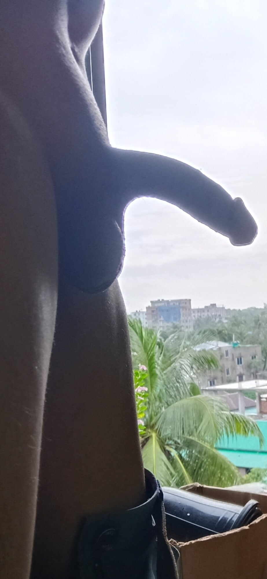YOUR dream, my cock