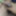 Dick