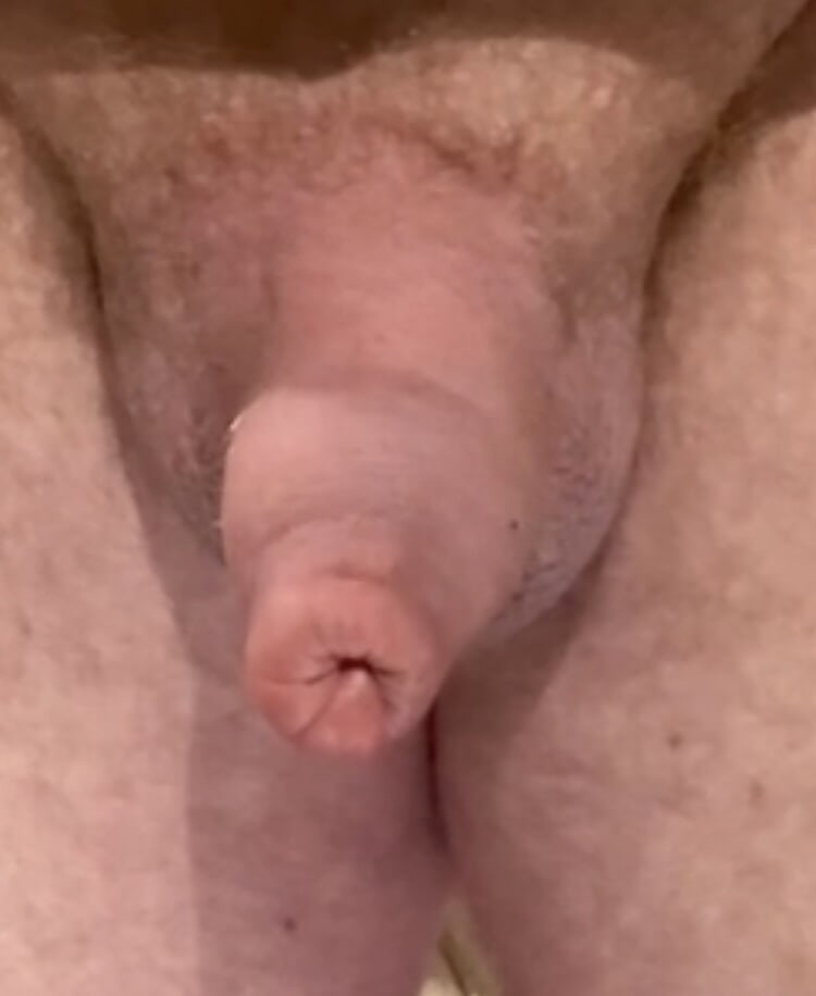 Several pics of my uncut cock #21