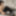 BOBSTGIRLS: WooHoo for Zuzu! #5