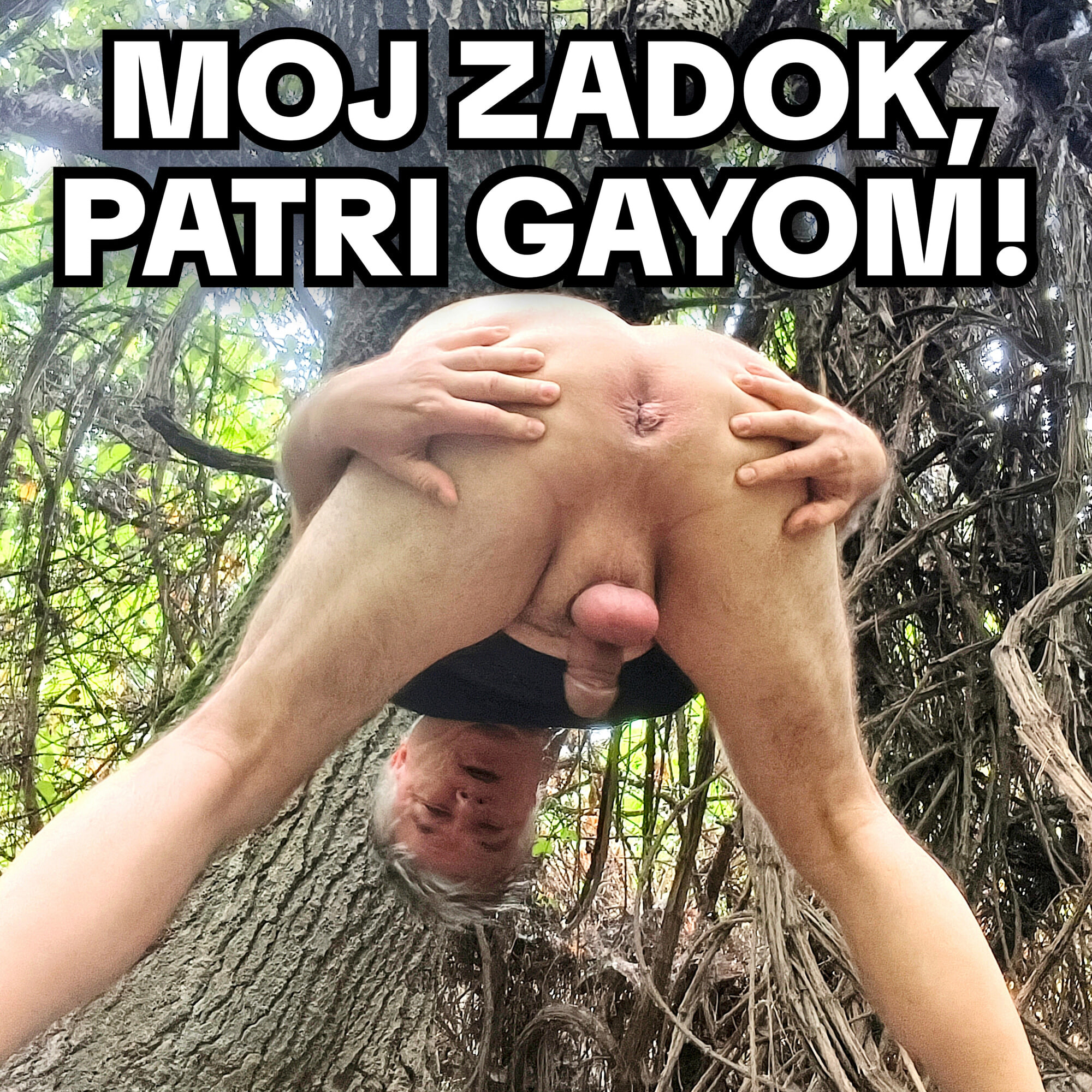 הומואים מפליגים בברטיסלבה 