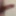 Morning Wood  #2