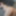 NSFW Pictures