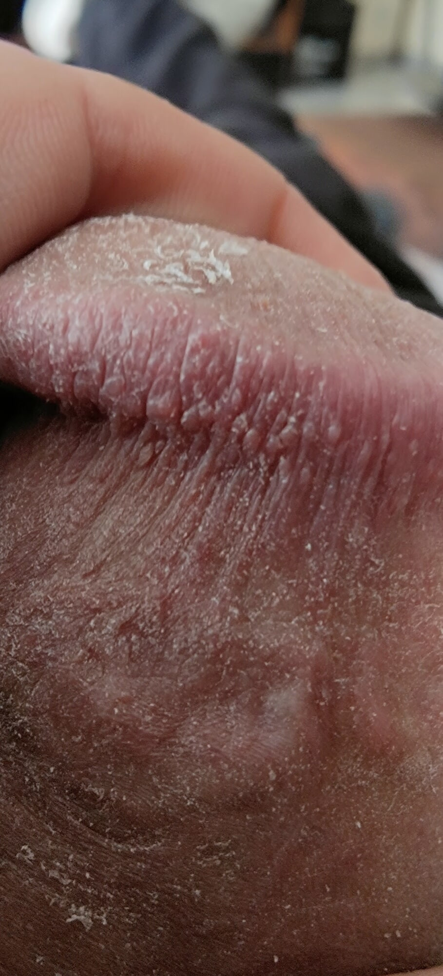 My big Arabian dick