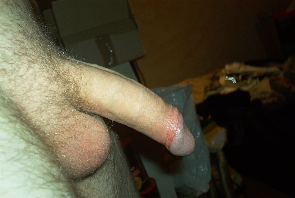 dusty lusty archive 5 (dick edition) #28