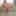 BLACK-TGIRLS: A Danger Proposition #6