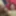 CUM fed by 2 young cocks