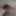 My little cock #3