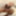Body et collants noirs ouverts