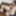 Ciel Hiragi, Emi Sakurai :: Caribbebians: Beauty &amp; Beauty - 