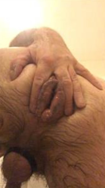 Gaping pig hole 