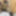 苦労は、無料写真を寄り添う