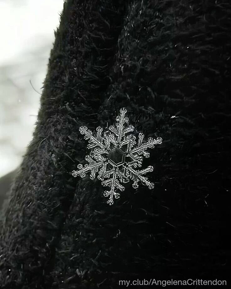 Molly Free Photos #30