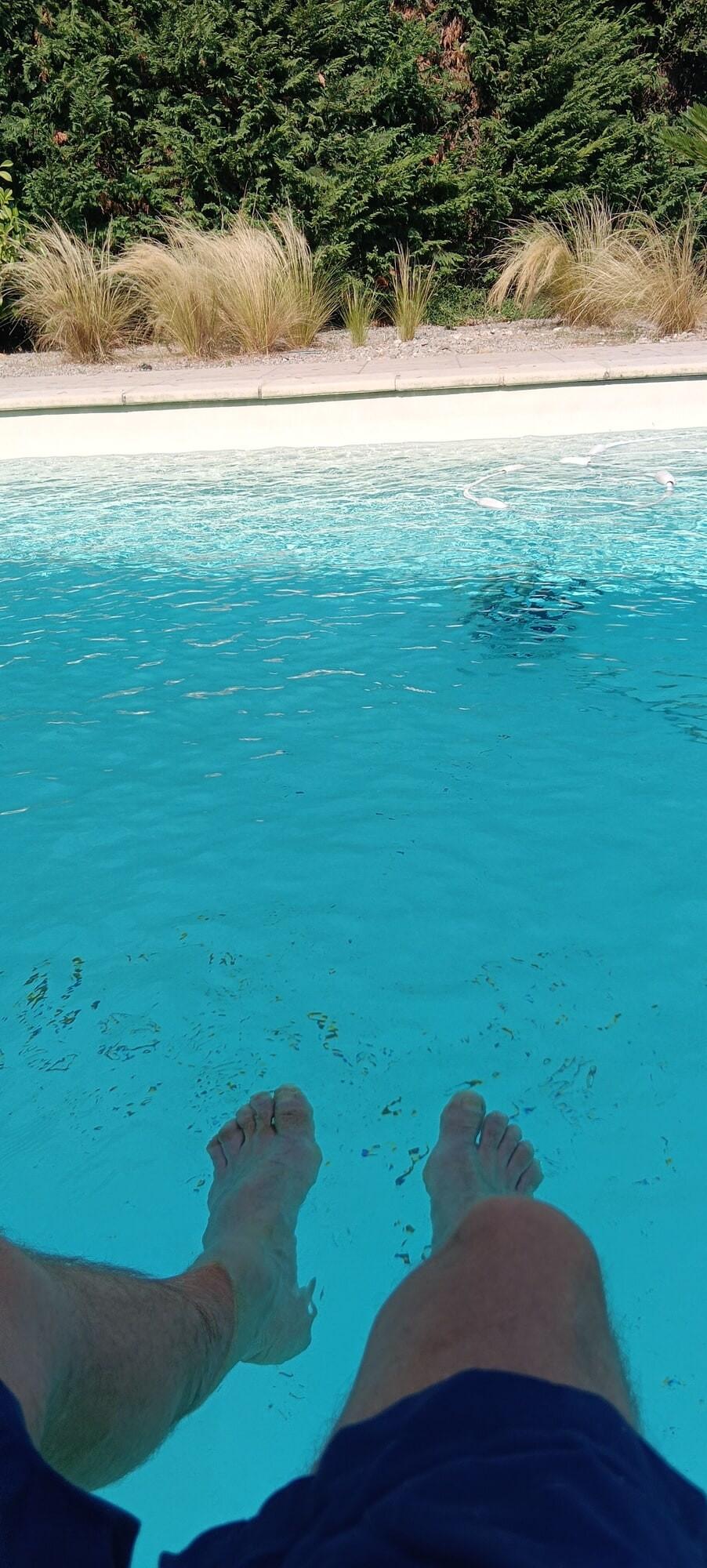 Ma bite a la piscine 