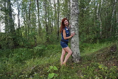 in birch forest         