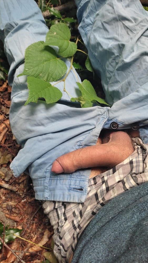 Lying on the forest floor , uncover my dick #6
