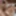 Jyuri Haruka :: Getting Up Sensitive Masochist Nipples 5 - C