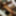 Random photos #4