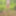Fag Christoph Straubinger naked in the forest #3