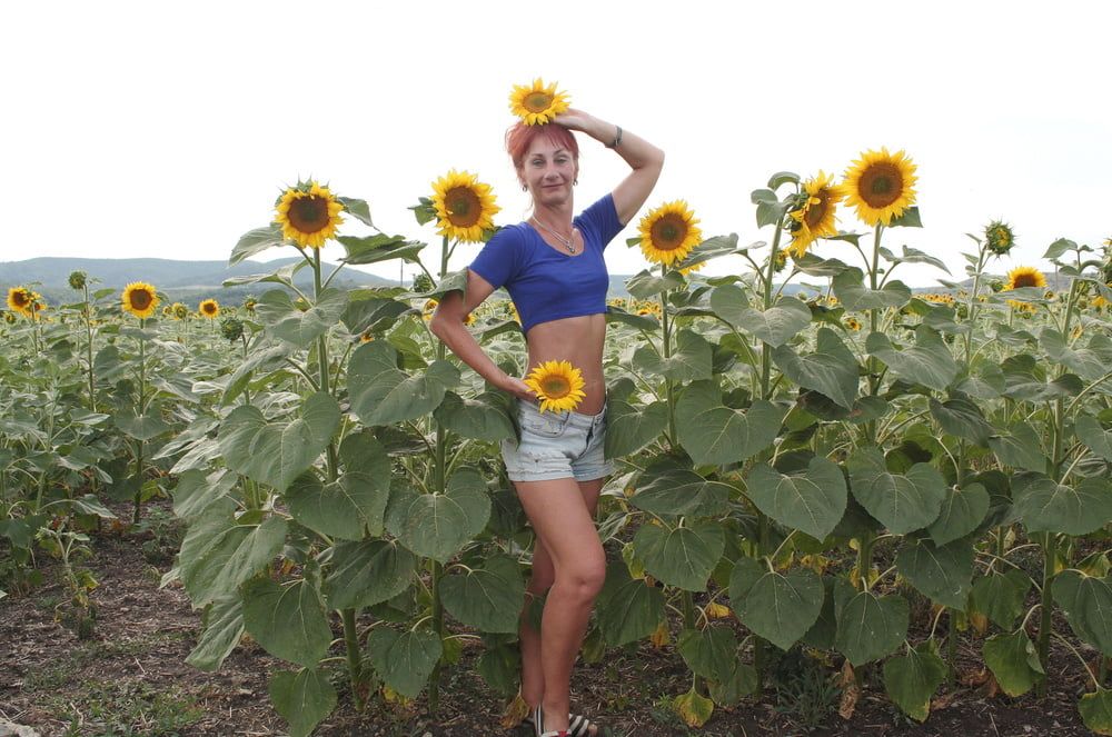 Sunflowers #3