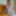 Lucia Gallery 2 #7