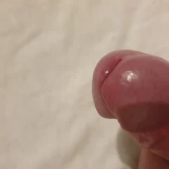 White cock