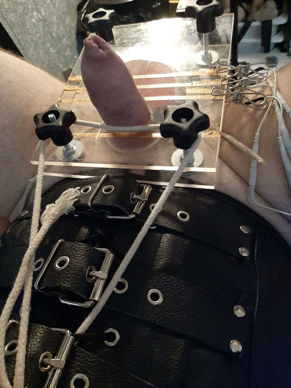 Leather Bondage Sack & CBT Ball Press with Sounding #4