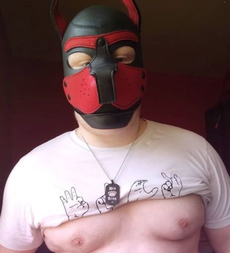 I'm also into pup play and gear 2