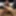 Closeup 